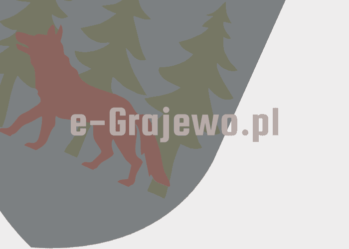 Grajewo ogłoszenia: Kobieta szuka pracy przy sprzątaniu. Posprzątam dom, mieszkanie,...